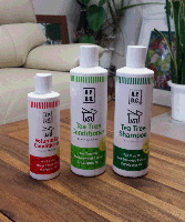 ドッグサロンpuppy,ドッグサロンパピー,トリミング,ペットサロン