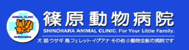 ドッグサロンpuppy,ドッグサロンパピー,トリミング,ペットサロン,篠原動物病院
