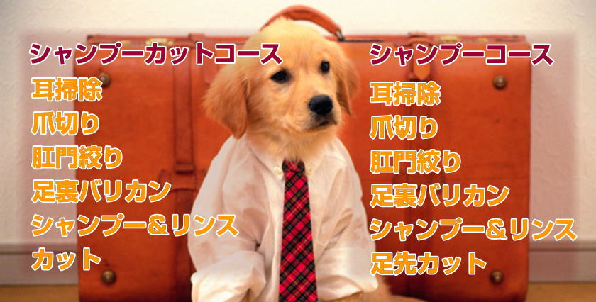 ドッグサロンpuppy,ドッグサロンパピー,トリミング,ペットサロン
