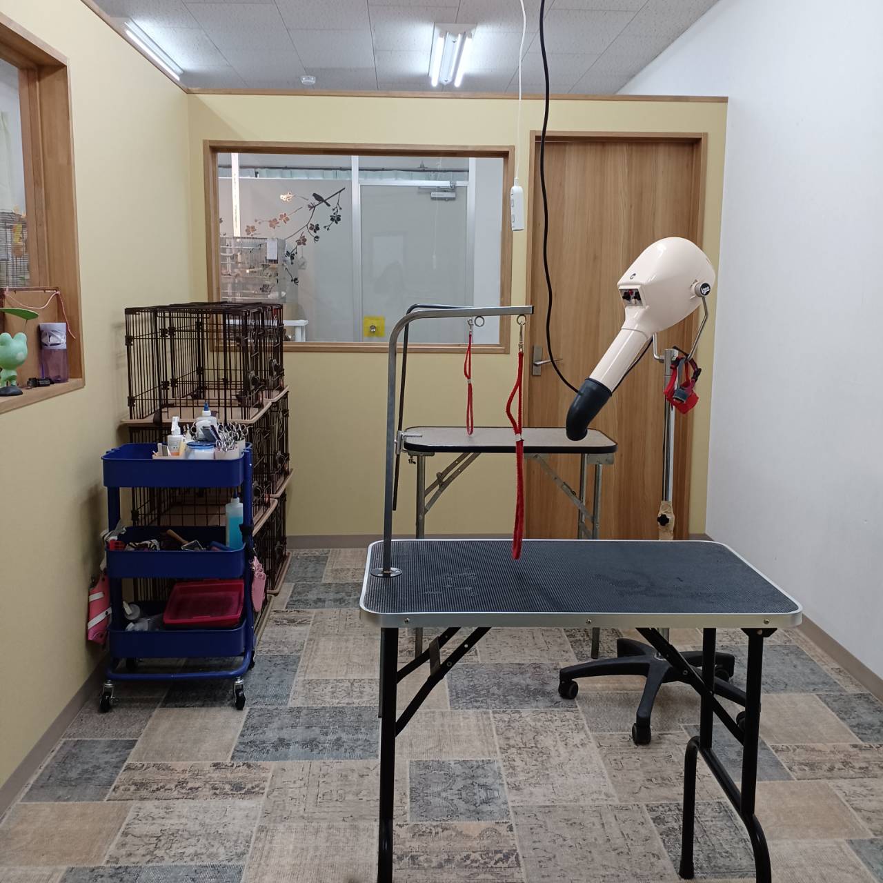 ドッグサロンpuppy,ドッグサロンパピー,トリミング,ペットサロン